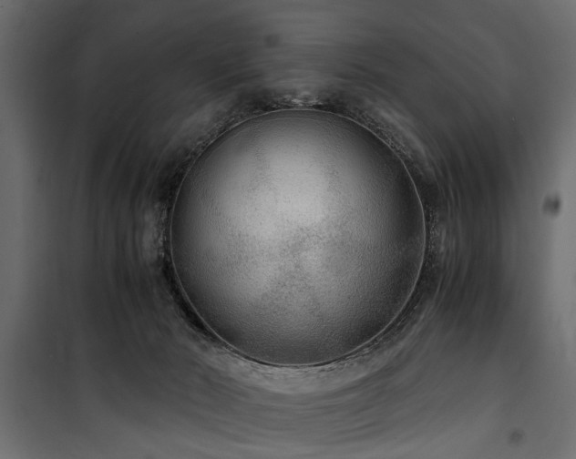 X0000100860030200806201227