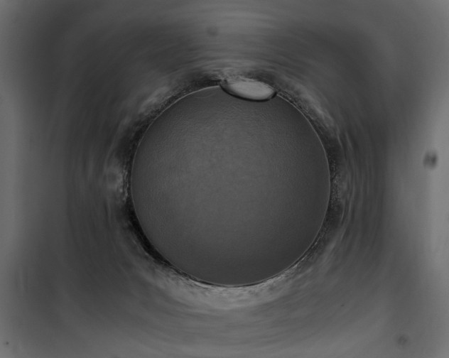 X0000100860031200806201227