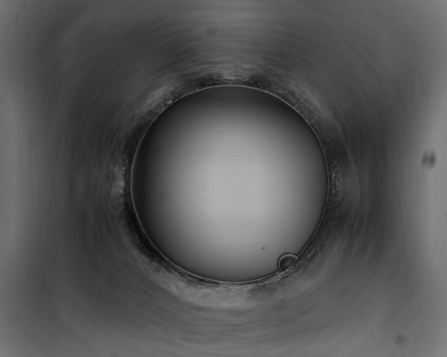 X0000100860032200806201227