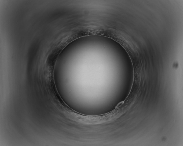 X0000100860034200806201227