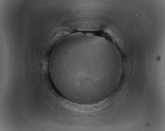 X0000100860035200806201227