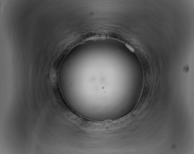 X0000100860037200806201227