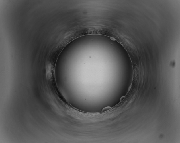 X0000100860038200806201227