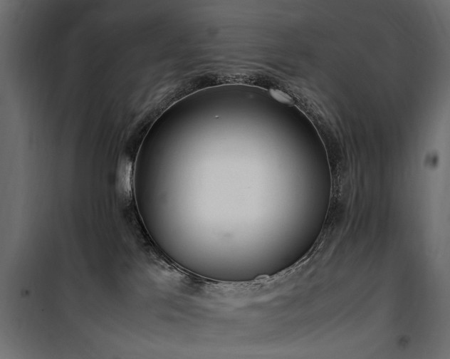 X0000100860041200806201227