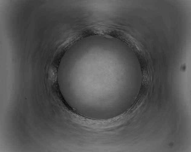 X0000100860043200806201227