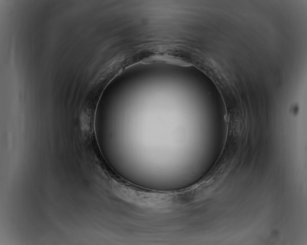 X0000100860044200806201227