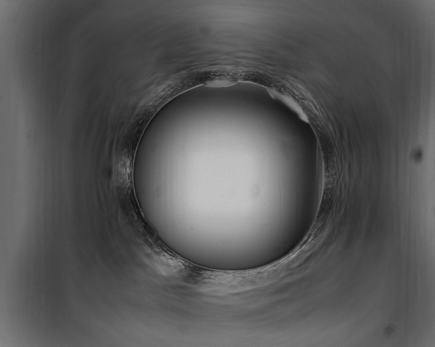 X0000100860045200806201227