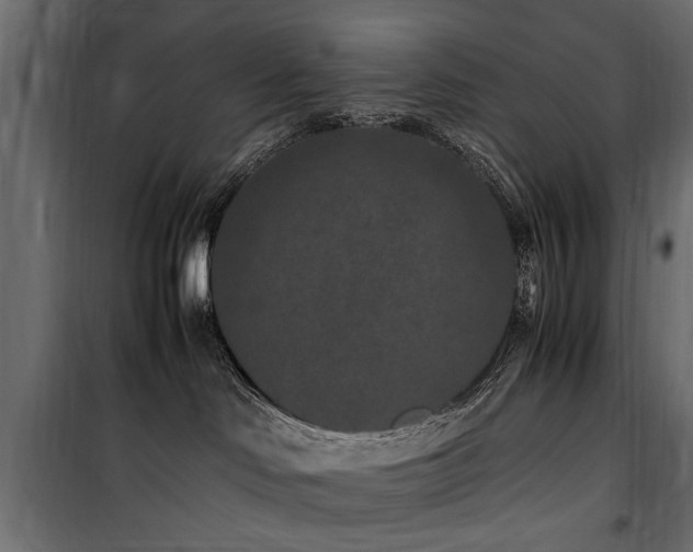 X0000100860046200806201227