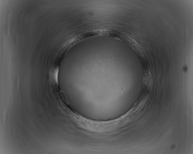 X0000100860047200806201227