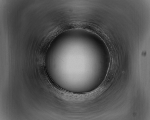 X0000100860048200806201227