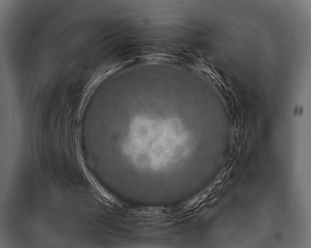 X0000100860049200806201226