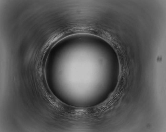 X0000100860050200806201226