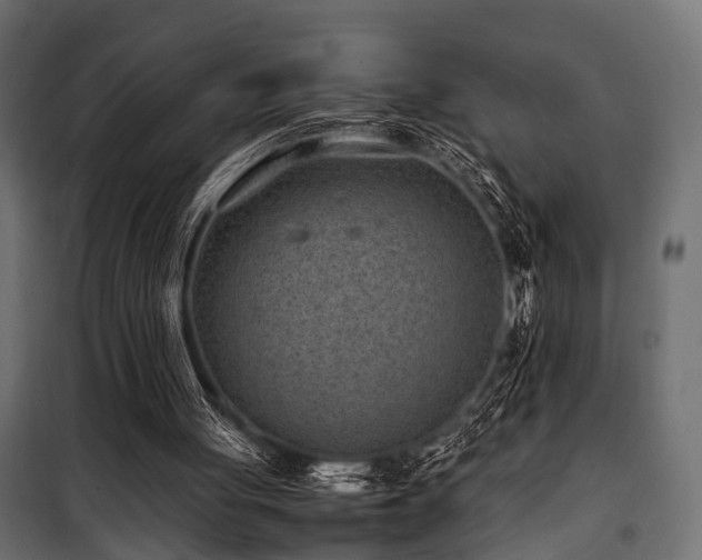 X0000100860051200806201226