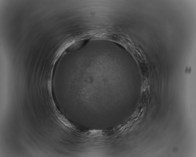 X0000100860052200806201226