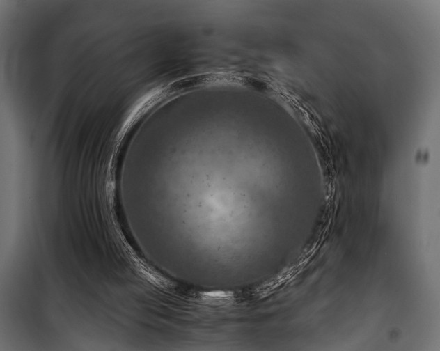 X0000100860053200806201226