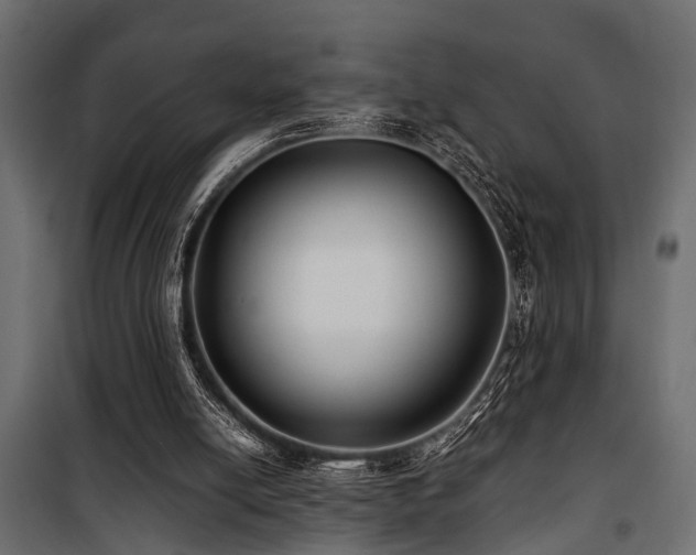 X0000100860054200806201226