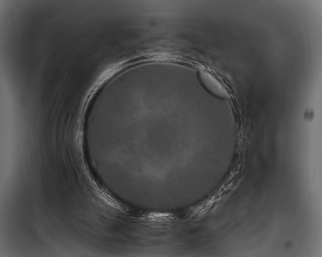 X0000100860055200806201226