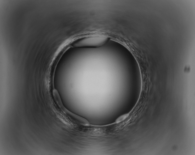 X0000100860056200806201226