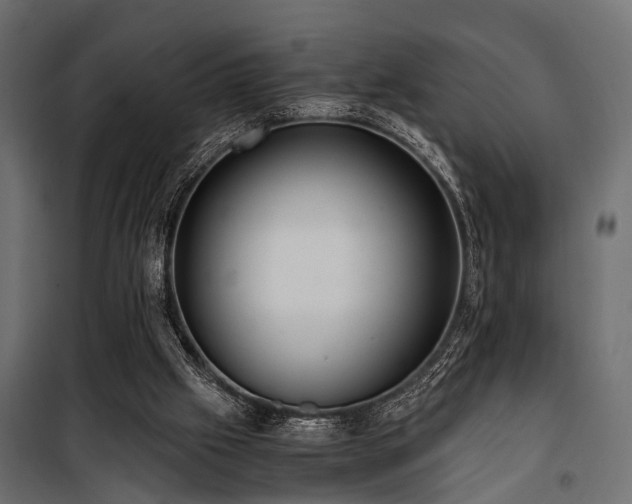 X0000100860057200806201226