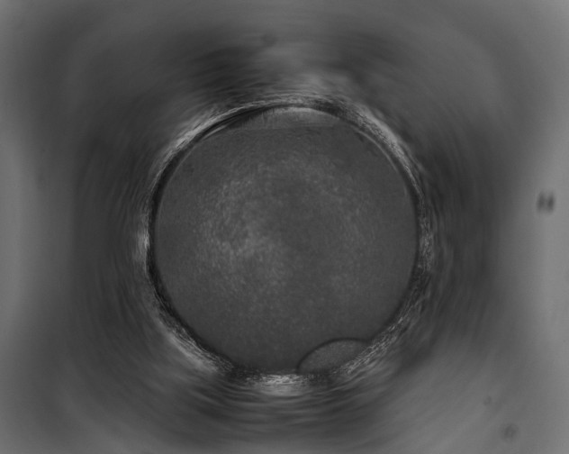 X0000100860059200806201226