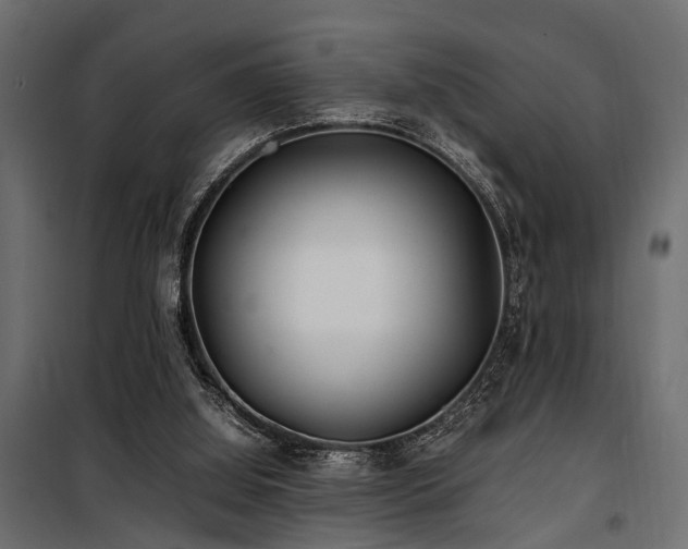 X0000100860060200806201226