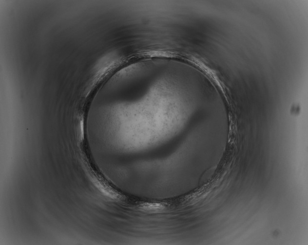 X0000100860061200806201227