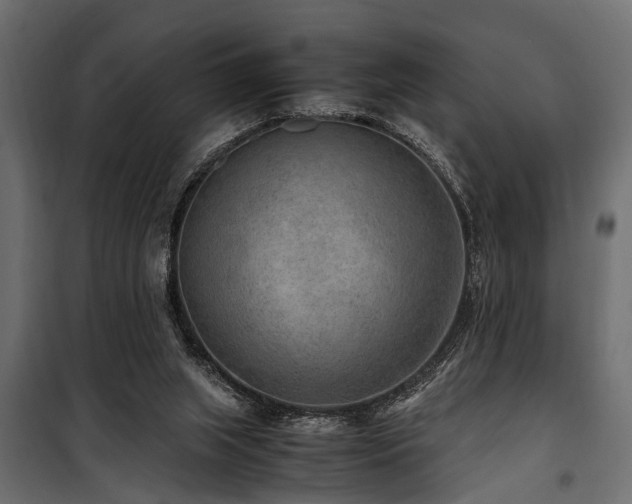 X0000100860063200806201227