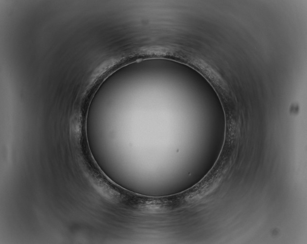 X0000100860064200806201227