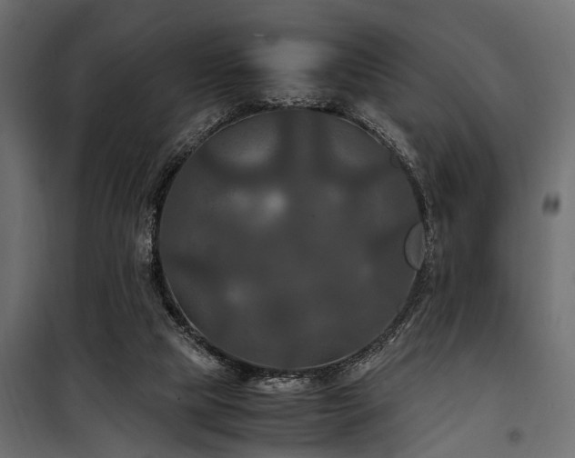 X0000100860065200806201227