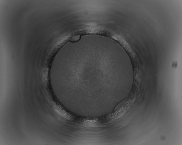 X0000100860066200806201227