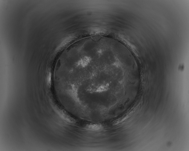 X0000100860067200806201227