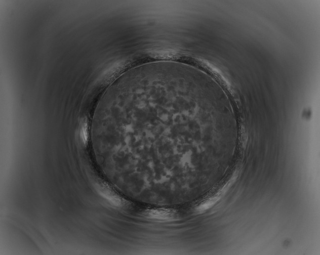 X0000100860069200806201227