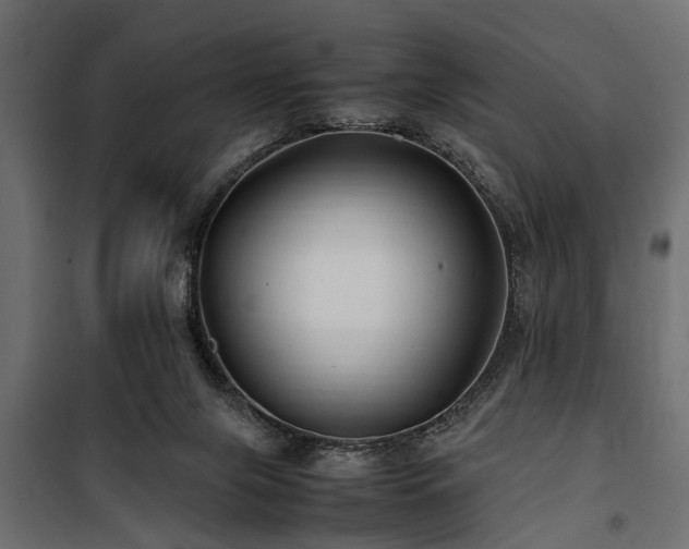 X0000100860071200806201227