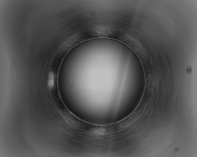 X0000100860075200806201227