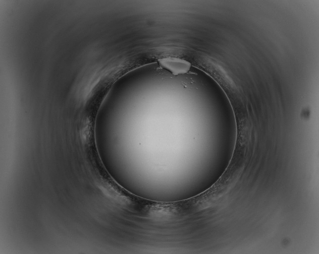 X0000100860077200806201227