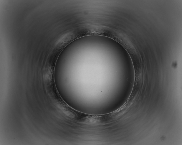 X0000100860078200806201227