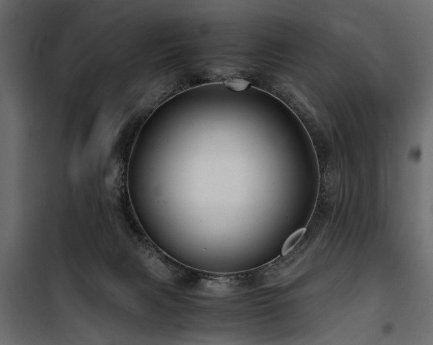 X0000100860079200806201227