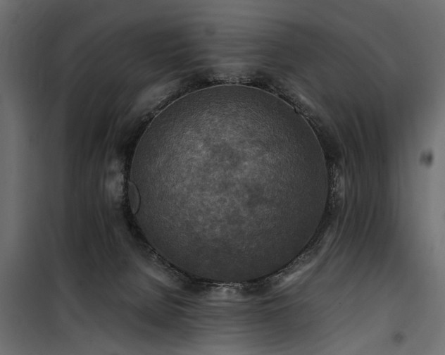 X0000100860080200806201227