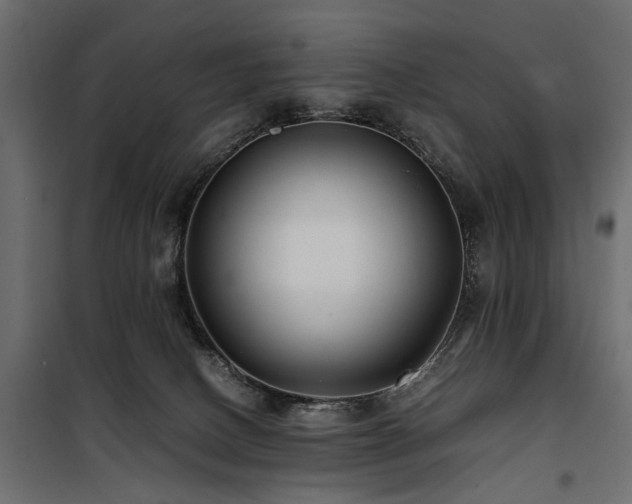 X0000100860082200806201227