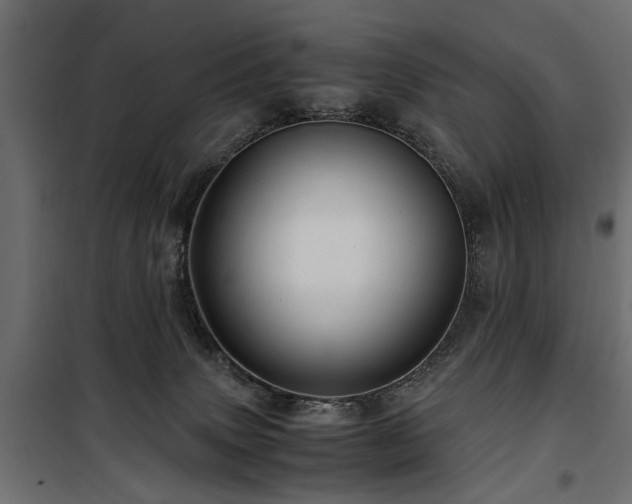 X0000100860083200806201227