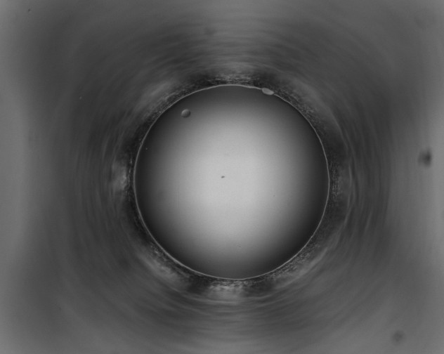 X0000100860084200806201227