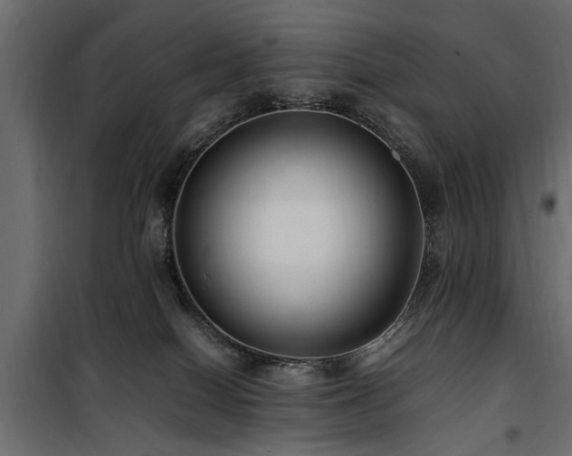 X0000100860086200806201227