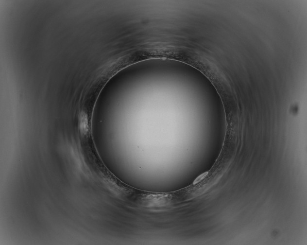 X0000100860089200806201227