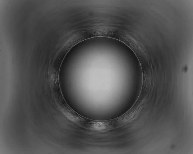 X0000100860091200806201227