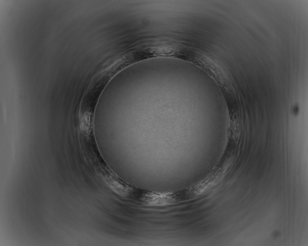 X0000100860093200806201227