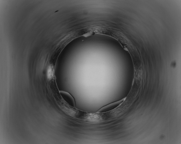 X0000100860095200806201227