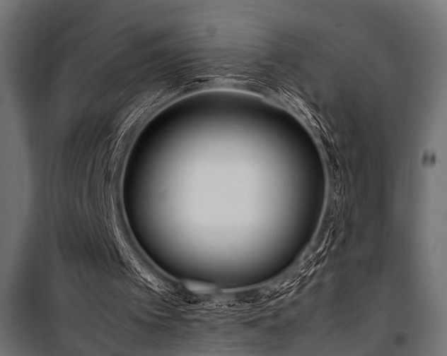 X0000100860097200806201226