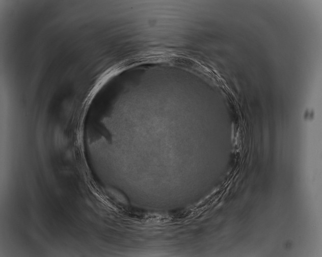 X0000100860099200806201226