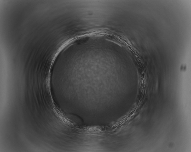 X0000100860100200806201226