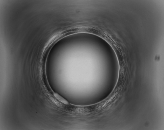 X0000100860101200806201226